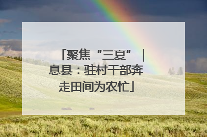 聚焦“三夏”｜息县：驻村干部奔走田间为农忙