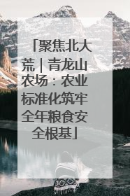 聚焦北大荒｜青龙山农场：农业标准化筑牢全年粮食安全根基