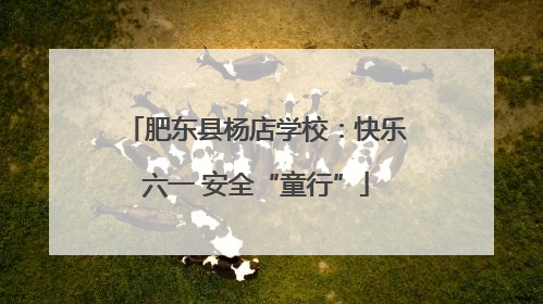 肥东县杨店学校：快乐六一 安全“童行”