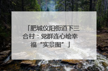 肥城仪阳街道下三合村：党群连心绘幸福“实景图”