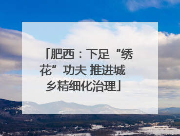 肥西：下足“绣花”功夫 推进城乡精细化治理