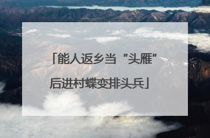 能人返乡当“头雁” 后进村蝶变排头兵
