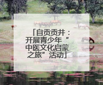 自贡贡井：开展青少年“中医文化启蒙之旅”活动