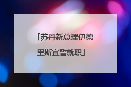 苏丹新总理伊德里斯宣誓就职