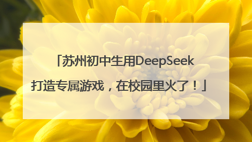 苏州初中生用DeepSeek打造专属游戏，在校园里火了！