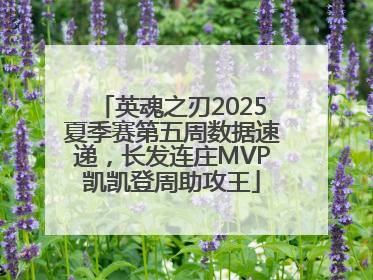 英魂之刃2025夏季赛第五周数据速递，长发连庄MVP凯凯登周助攻王
