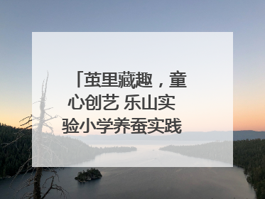 茧里藏趣，童心创艺 乐山实验小学养蚕实践绘就成长画卷