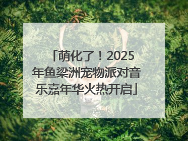 萌化了！2025年鱼梁洲宠物派对音乐嘉年华火热开启