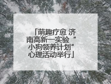 萌趣疗愈 济南高新一实验“小狗领养计划”心理活动举行