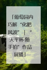 葡萄园内巧解“化肥风波”｜“天平杯·随手拍”作品展播
