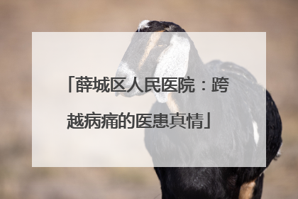薛城区人民医院：跨越病痛的医患真情