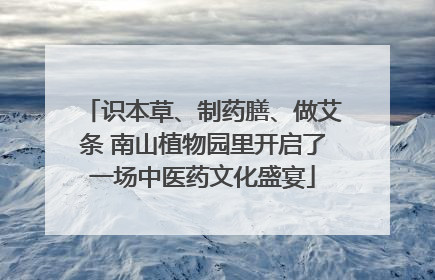 识本草、制药膳、做艾条 南山植物园里开启了一场中医药文化盛宴