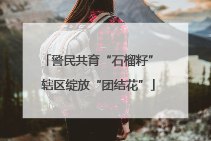 警民共育“石榴籽” 辖区绽放“团结花”