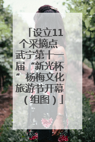 设立11个采摘点 武宁第十一届“新光杯”杨梅文化旅游节开幕（组图）