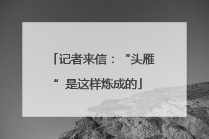 记者来信：“头雁”是这样炼成的