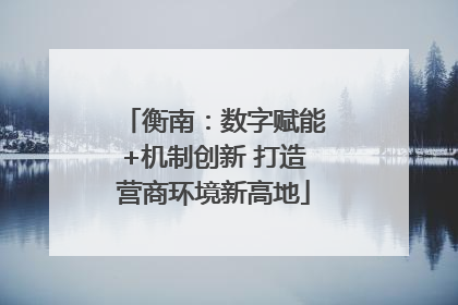 衡南：数字赋能+机制创新 打造营商环境新高地