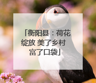 衡阳县：荷花绽放 美了乡村 富了口袋