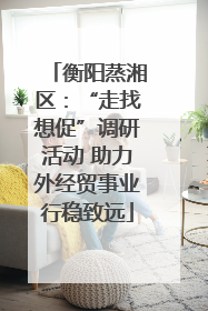 衡阳蒸湘区：“走找想促”调研活动 助力外经贸事业行稳致远