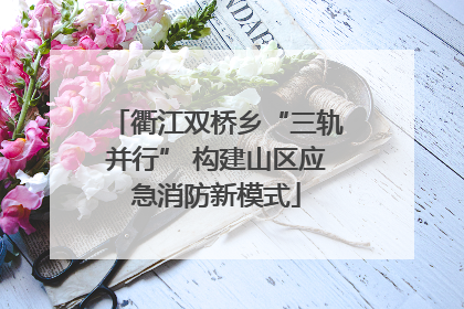 衢江双桥乡“三轨并行” 构建山区应急消防新模式
