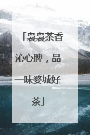 袅袅茶香沁心脾，品一味婺城好茶