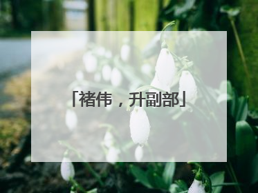褚伟，升副部
