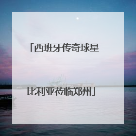 西班牙传奇球星 比利亚莅临郑州