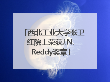 西北工业大学张卫红院士荣获J.N.Reddy奖章