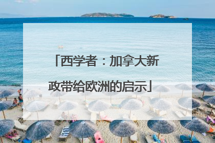 西学者：加拿大新政带给欧洲的启示