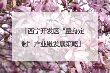 西宁开发区“量身定制”产业链发展策略