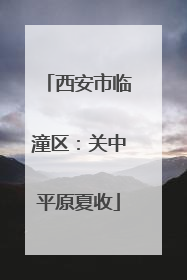 西安市临潼区：关中平原夏收