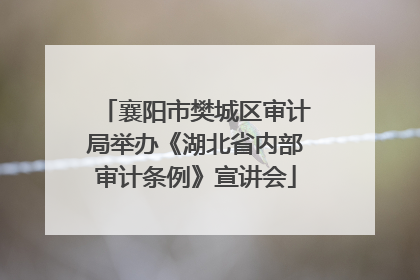 襄阳市樊城区审计局举办《湖北省内部审计条例》宣讲会