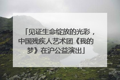 见证生命绽放的光彩，中国残疾人艺术团《我的梦》在沪公益演出