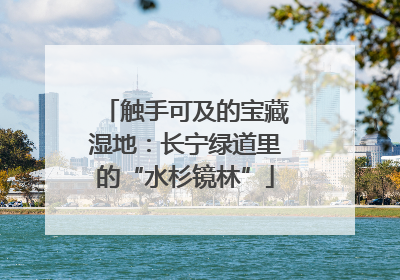触手可及的宝藏湿地：长宁绿道里的“水杉镜林”