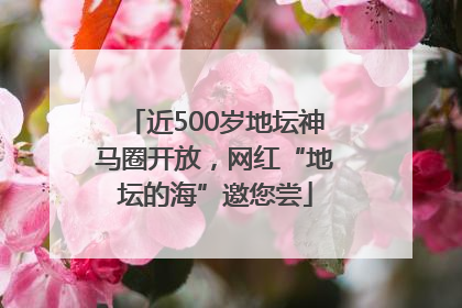 近500岁地坛神马圈开放，网红“地坛的海”邀您尝