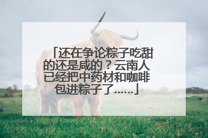 还在争论粽子吃甜的还是咸的？云南人已经把中药材和咖啡包进粽子了……