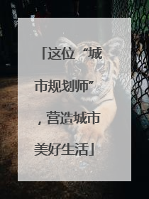 这位“城市规划师”，营造城市美好生活