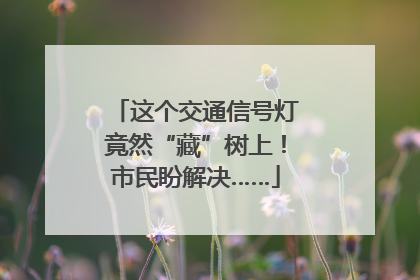 这个交通信号灯竟然“藏”树上！市民盼解决……