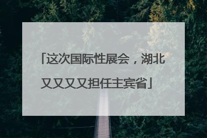 这次国际性展会，湖北又又又又担任主宾省