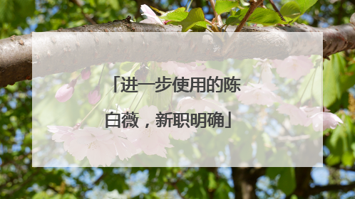 进一步使用的陈白薇，新职明确