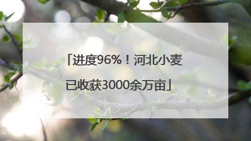 进度96%！河北小麦已收获3000余万亩