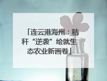 连云港海州：秸秆“逆袭”绘就生态农业新画卷