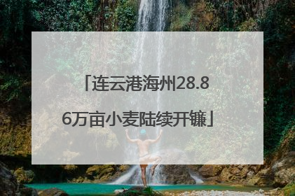 连云港海州28.86万亩小麦陆续开镰