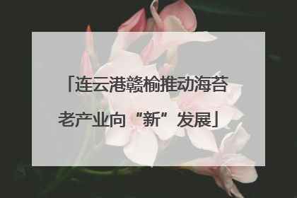 连云港赣榆推动海苔老产业向“新”发展