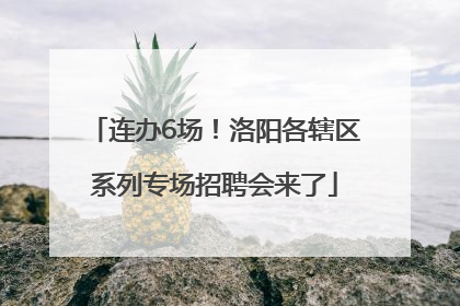 连办6场！洛阳各辖区系列专场招聘会来了