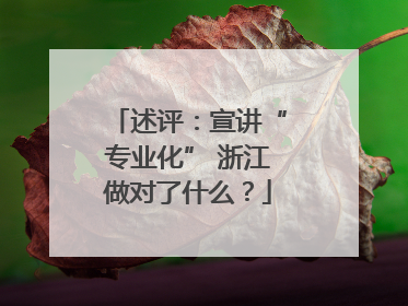 述评：宣讲“专业化” 浙江做对了什么？