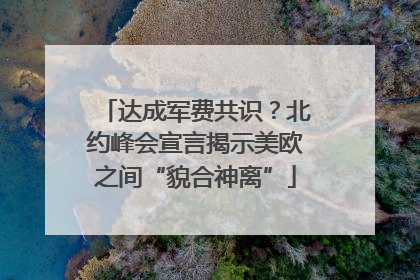 达成军费共识？北约峰会宣言揭示美欧之间“貌合神离”