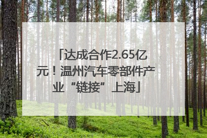 达成合作2.65亿元！温州汽车零部件产业“链接”上海