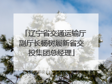 辽宁省交通运输厅副厅长杨树履新省交投集团总经理