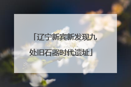 辽宁新宾新发现九处旧石器时代遗址