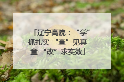 辽宁高院：“学”抓扎实 “查”见真章 “改”求实效